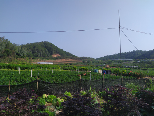 論深圳農(nóng)家樂九龍莊園的發(fā)展前景