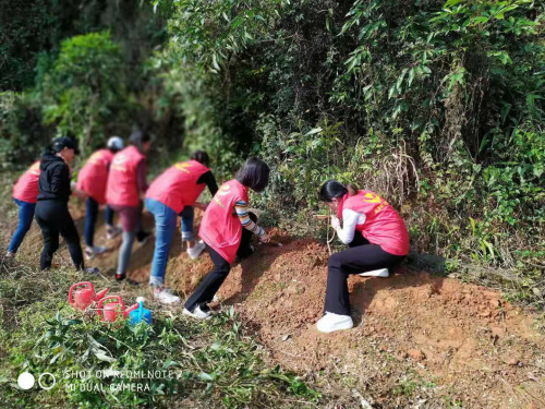 我與九龍生態(tài)園有個(gè)春天的約會(huì)——植樹(shù)